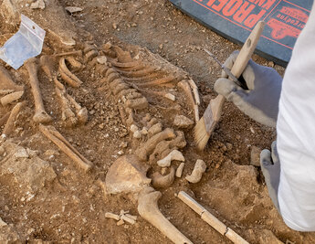 Fouilles archeologiques place Denfert Rochereau - Agrandir l'image 154 sur [158], fenêtre modale