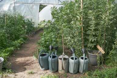 Arrosoirs alignés devant une serre tunnel abritant des plants de légumes du jardin solidaire