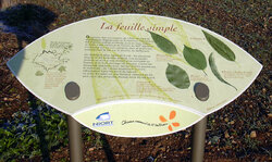 Parcours de Buffevent Parcours de Buffevent